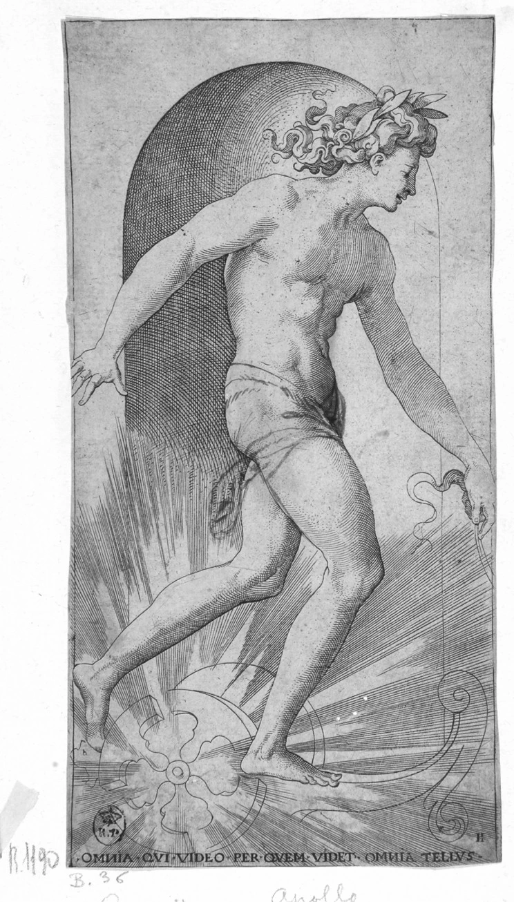 Fiorentino - Apollo, Galleria Sabauda, Torino